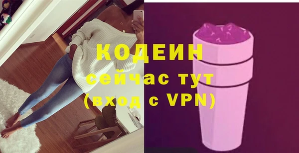винт Няндома