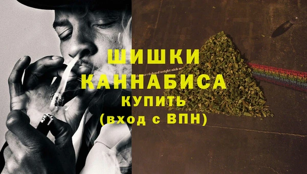 винт Няндома
