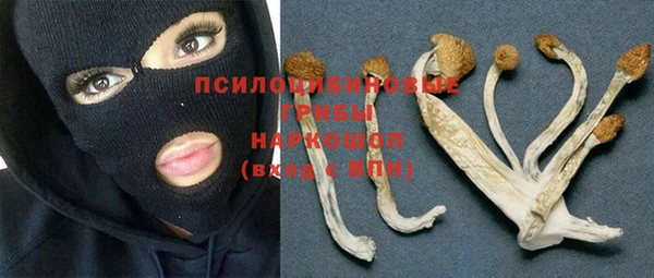 винт Няндома