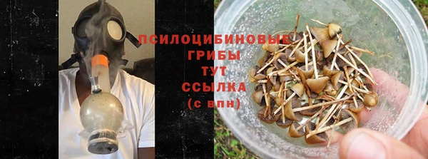 винт Няндома