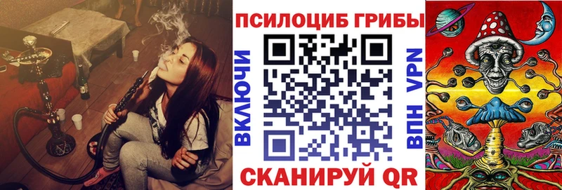 Купить где  Чадан  Галлюциногенные грибы Psilocybine cubensis 