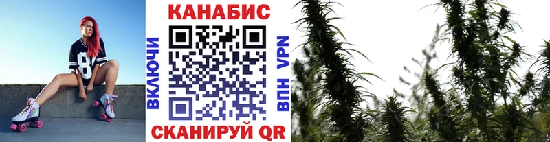 Шишки марихуана сатива  Купить  Чадан 